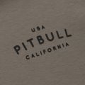 Vyriškas džemperis Pitbull Sampson HZ taupe 9