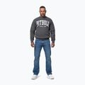 Vyriškas džemperis Pitbull Norton Crewneck graphite 2
