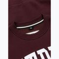 Vyriškas džemperis Pitbull Norton Crewneck dark burgundy 6
