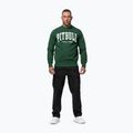 Vyriškas džemperis Pitbull Norton Crewneck green 2