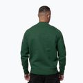 Vyriškas džemperis Pitbull Norton Crewneck green 3
