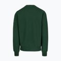 Vyriškas džemperis Pitbull Norton Crewneck green 5