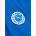 Vyriškas džemperis Pitbull Norton Crewneck azure blue 8