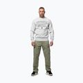 Vyriškas džemperis Pitbull So Cal Crewneck grey/melange 2