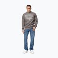 Vyriškas džemperis Pitbull So Cal Crewneck taupe 2