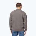 Vyriškas džemperis Pitbull So Cal Crewneck taupe 3