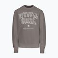 Vyriškas džemperis Pitbull So Cal Crewneck taupe 4