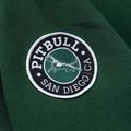 Vyriškas džemperis Pitbull Norton Hooded Zip hunter green 13