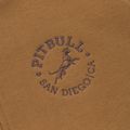 Vyriškas džemperis Pitbull San Diego Ca Hooded Zip honey yellow 10