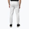 Vyriškos kelnės Pitbull Small Logo HD Track grey/melange 3