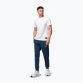 Vyriškos kelnės Pitbull Sampson Track Pants petrol blue 2