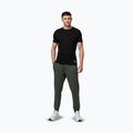 Vyriškos kelnės Pitbull Sampson Track Pants old green 2