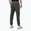 Vyriškos kelnės Pitbull Sampson Track Pants old green 3