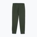 Vyriškos kelnės Pitbull Sampson Track Pants old green 5