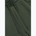 Vyriškos kelnės Pitbull Sampson Track Pants old green 6