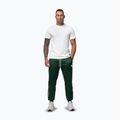 Vyriškos kelnės Pitbull Trackpants Tape Logo Terry Group bottle green 2