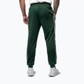 Vyriškos kelnės Pitbull Trackpants Tape Logo Terry Group bottle green 3