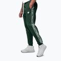 Vyriškos kelnės Pitbull Trackpants Tape Logo Terry Group bottle green 5