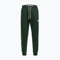 Vyriškos kelnės Pitbull Trackpants Tape Logo Terry Group bottle green 6