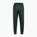 Vyriškos kelnės Pitbull Trackpants Tape Logo Terry Group bottle green 7