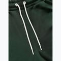 Vyriškos kelnės Pitbull Trackpants Tape Logo Terry Group bottle green 8