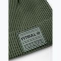 Žieminė kepurė Pitbull Beanie Dock grassy green 2