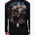 Vyriškas džemperis Pitbull Hero Hooded black 3