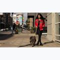 Moteriška striukė Pitbull Angela San Diego Hooded Varsity fluo/red 17