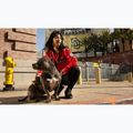 Moteriška striukė Pitbull Angela San Diego Hooded Varsity fluo/red 19