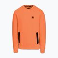 Vyriškas džemperis Pitbull Dogwood Crewneck Sweatshirt fluo orange 4