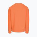 Vyriškas džemperis Pitbull Dogwood Crewneck Sweatshirt fluo orange 5