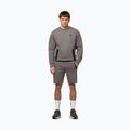 Vyriškas džemperis Pitbull Dogwood Crewneck Sweatshirt taupe 2
