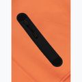 Vyriškas džemperis Pitbull Dogwood Hooded Sweatshirt fluo orange 7