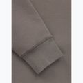 Vyriškas džemperis Pitbull Dogwood Hooded Sweatshirt taupe 10