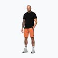 Vyriški šortai Pitbull Dogwood Sport fluo orange 4