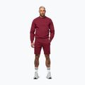 Vyriškas džemperis Pitbull Sampson Crewneck Sweatshirt burgundy 2