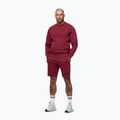 Vyriškas džemperis Pitbull Sampson Crewneck Sweatshirt burgundy 4