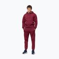 Vyriškas džemperis Pitbull Sampson Hooded Sweatshirt burgundy 2
