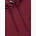 Vyriškas džemperis Pitbull Sampson Hooded Sweatshirt burgundy 9