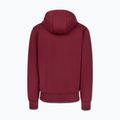 Vyriškas džemperis Pitbull Sampson Hooded Zip Sweatshirt burgundy 6