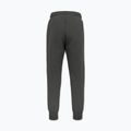 Vyriškos kelnės Pitbull Sampson Track grey/green 5