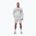 Vyriškas džemperis Pitbull Badger Crewneck grey/melange 2