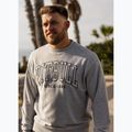 Vyriškas džemperis Pitbull Badger Crewneck grey/melange 11