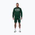 Vyriškas džemperis Pitbull Badger Crewneck hunter/green 2