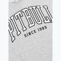 Vyriškas džemperis Pitbull Badger Hooded grey/melange 9