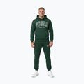 Vyriškas džemperis Pitbull Badger Hooded hunter green 2
