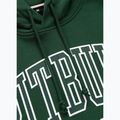 Vyriškas džemperis Pitbull Badger Hooded hunter green 5
