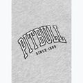 Vyriškas džemperis Pitbull Badger Hooded Zip grey/melange 11