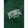 Vyriškos kelnės Pitbull Badger Track hunter green 9