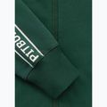 Vyriškas džemperis Pitbull Nexus Track Jacket bottle green 10
